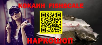 индика Гатчина