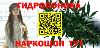 индика Гатчина